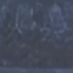 bl