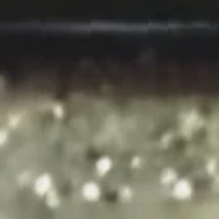 sh2